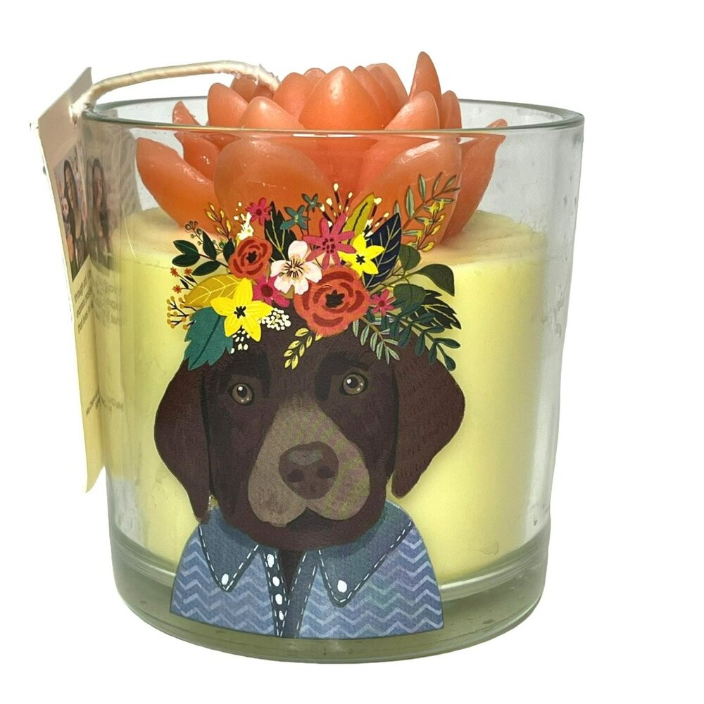 Mia Charro Adventure Awaits Soy Blend Candle